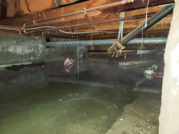 Best 24/7 water damage repair  in Palos Hls, IL