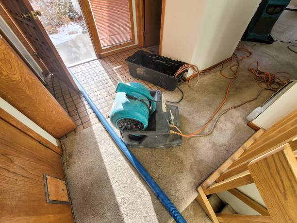 Best Flood restoration services  in Palos Hls, IL