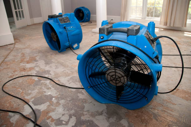 Best Water damage cleanup near me  in Palos Hls, IL